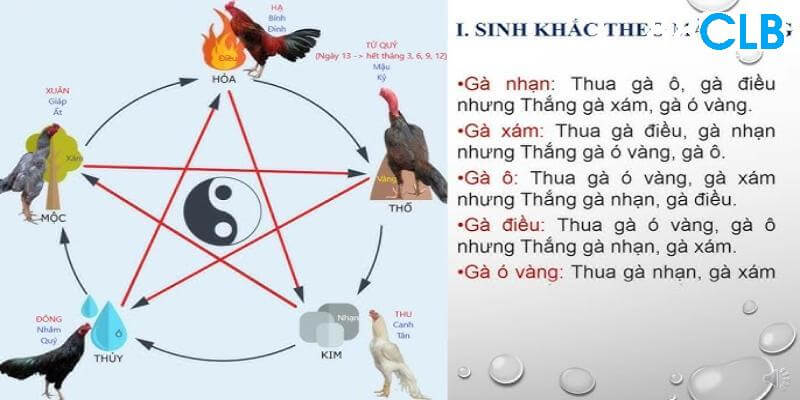 Các cách xem màu mạng cho tứ ngũ hành xung