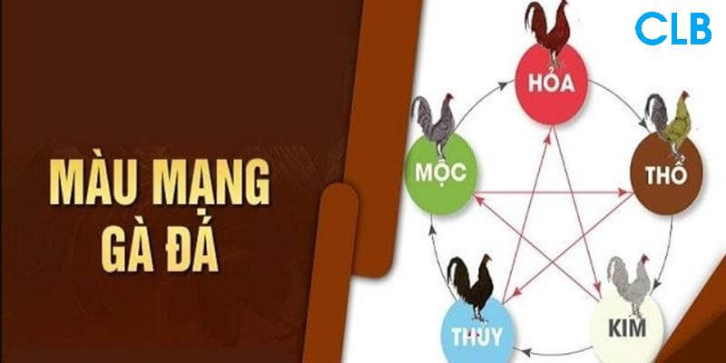 Lý do vì sao nhiều người quan tâm đến màu mạng